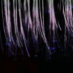 abstract internet slang