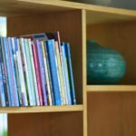 bookshelf reading recommendations