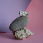 colorful balanced meal