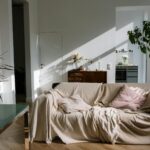 cozy living room entertainment