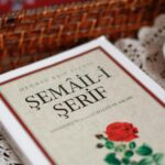 social media trends 2026