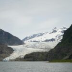 Alaskan Seiti fillets