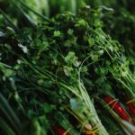 Koriandri: Your Comprehensive Guide to Understanding