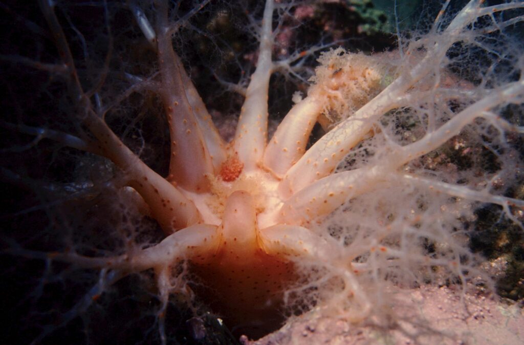 gastroshiza budget management