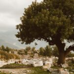 historical ground zero map