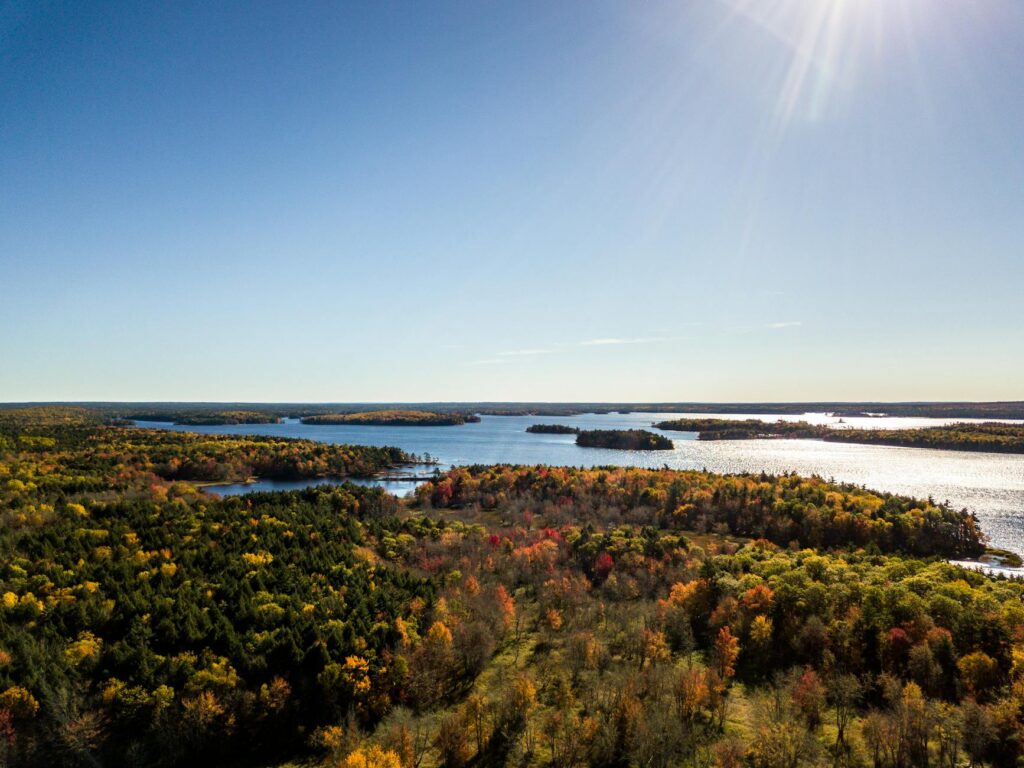 jake zingerman portrait