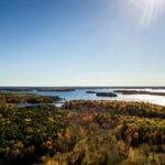 Jake Zingerman: Your Beginner’s Guide