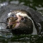 Kim Orton: Common Mistakes & How to Avoid Them