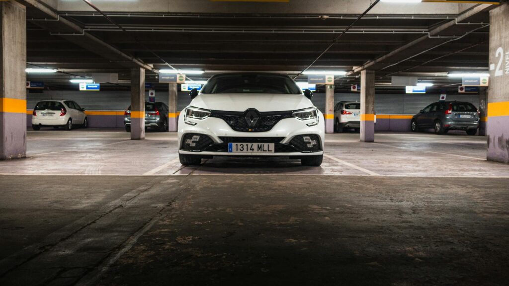 megan sanov professional