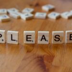 pilfer word game interface