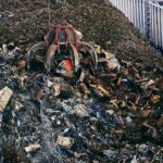 Scraps Dandys World infographic