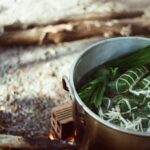 Vietnamese herbal medicine